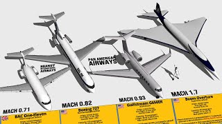 Fastest Passenger Aircraft of All Time Top Speed Comparison  3D