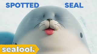 MLEM: Stop Me If You Can👅 | Spotted Seal Special | SEALOOK | Episodes Compilation