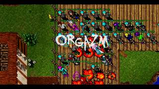 Orgazm War Tibia Highlights Ts3 Rec Zivera.pl