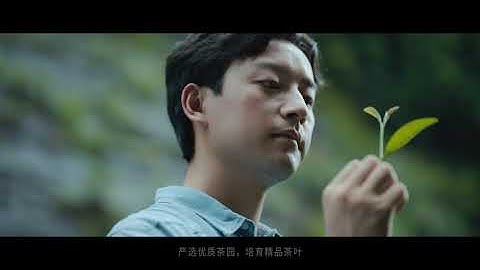元气森林 - 天天要闻