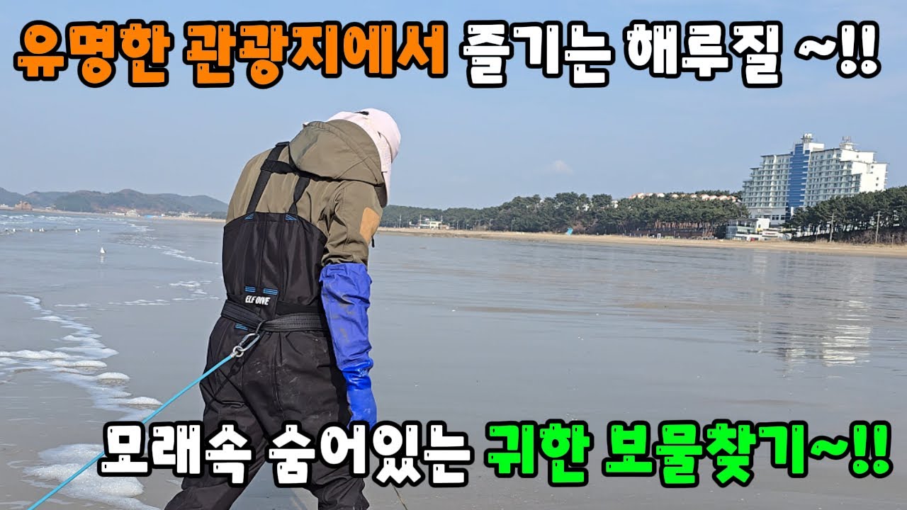 유명한 관광지에서 즐기는 해루질 ~!! 모래속 숨어있는 귀한 보물찾기~!!