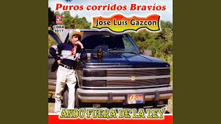 Sangre De Gallo