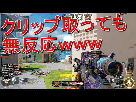 【BO3】新迷彩でクリップゲット！～反応のないPT～