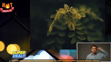 Discount on multilogin cheap price plus exciting gifts Multilogin