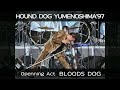 HOUND DOG copy / でっかい太陽〜Jump Jump Jump〜 ★BLOOD SDOG Vo ぐっさん★