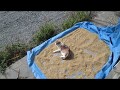 種もみとナナちゃん
