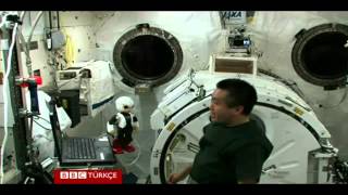 Kirobo Teknolojide Bir Dönüm Noktası Mı?