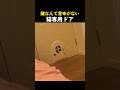 鍵なんて意味がない猫専用ドア