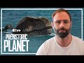 🦖 PREHISTORIC PLANET: COASTS - REVIEW