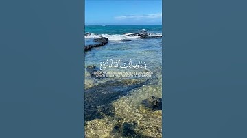 سورة النور ياسر الدوسري #القرآن_الكريم #اكسبلور #قرآن