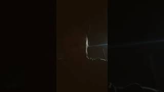 19 De Octubre De 2024