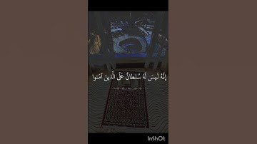 تلاوة قرآن أقل من 30ثانية|بصوت خاشع وعذب يبكى القلوب ❤️🤍/راحة نفسية وطمأنية/راحة السمع فى القرآن 🤍☪️