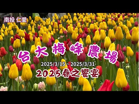 2025 -3 南投 仁愛 台大梅峰農場????2025春之饗宴315~331登場了????不需預約，付費即可進場欣賞平地難得見到的高山溫帶花卉景觀
