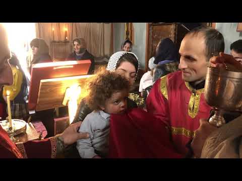 მეუფე ნიკოლოზი - ზიარება არის სინათლე