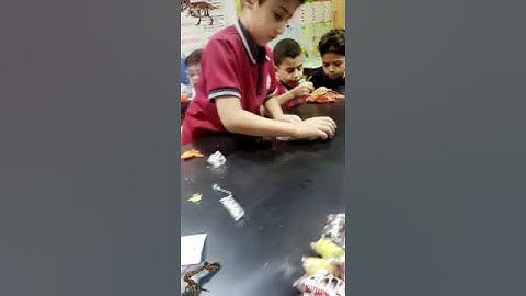 What Are fossils ? Science lab 👨‍🔬👨‍🔬👨‍🔬🥼🥼🥼🧪