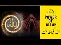 Power Of Allah by Shaykh Atif Ahmed | Motivational Urdu Reminders