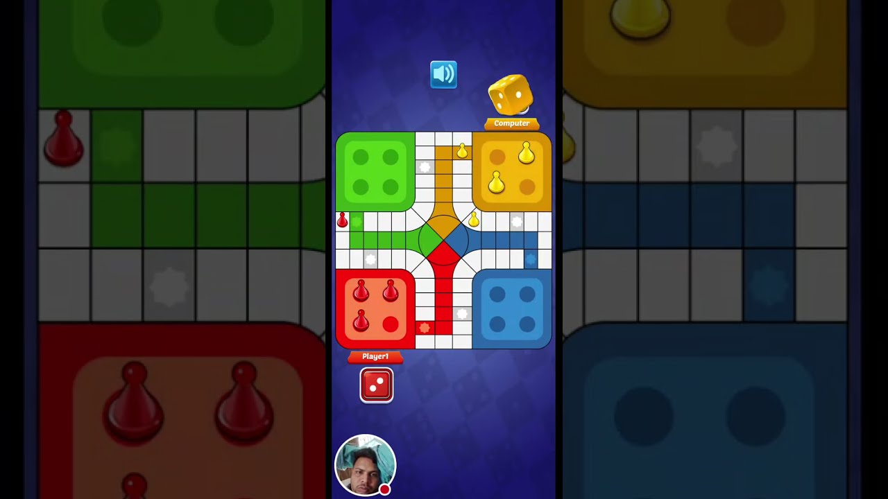 Ludo LIVE 2 OXILLURO