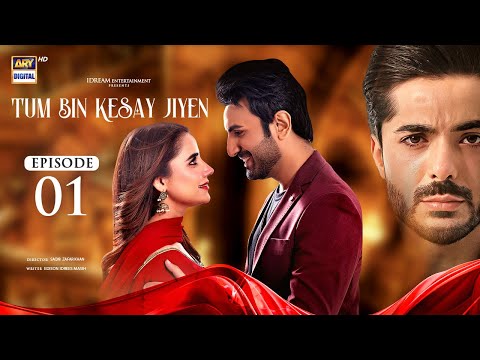 Tum Bin Kesay Jiyen Episode 1 | 13 February 2024 (English Subtitles) ARY Digital