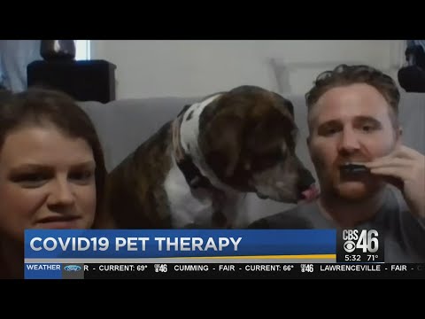 Video chats connects pets with owners in isolation