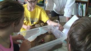 NGSS Practices