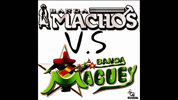 Banda Machos Vs Banda Maguey Quebraditas Mix Dj Scorpio