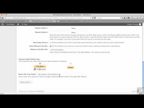 0207 WordPress Easy PayPal Payment Accept Plugin