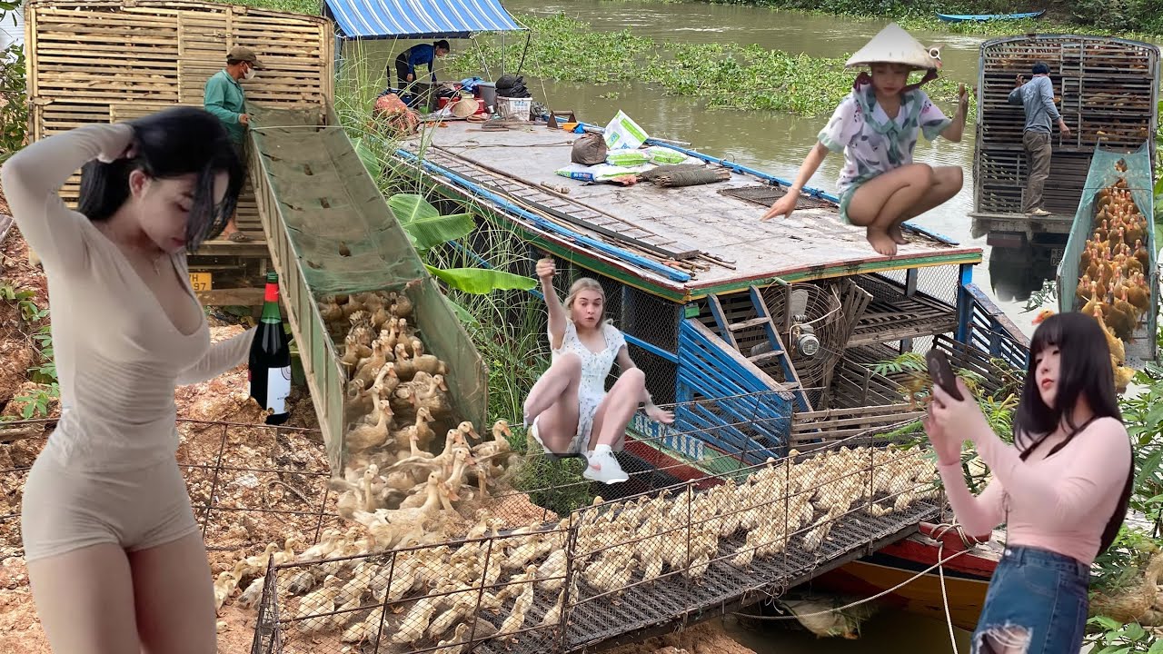Trucks Load Ducks onto Trains for Transport to New Rural Areas | Real Scene | HuongFarmVlog Official