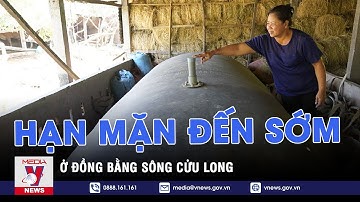 Hạn mặn đến sớm ở Đồng bằng sông Cửu Long – VNEWS