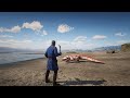 RDR2 - All Animal Attack And Bite Animation 4K Ep.6