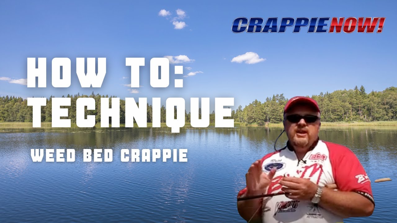 Tips for Targeting Weed Bed Crappie YouTube