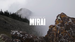 Somedays at Mirai: The Olympics
Go behind the scenes with Mirais creative team in this exclusive video about making the making of Mirai in the Wild - Olympic Mountains.
If youve enjoyed the Mirai in the Wild series, help us continue this project and our efforts to document these ancient trees—raising awareness about the challenges they face due to climate change, deforestation, invasive species, and beyond.
Learn how you can contribute to the continuation of Mirai in the Wild: https://bonsaimirai.com/blog/mirai-wild-puglian-olives-fundraiser Somedays at Mirai: The Olympics