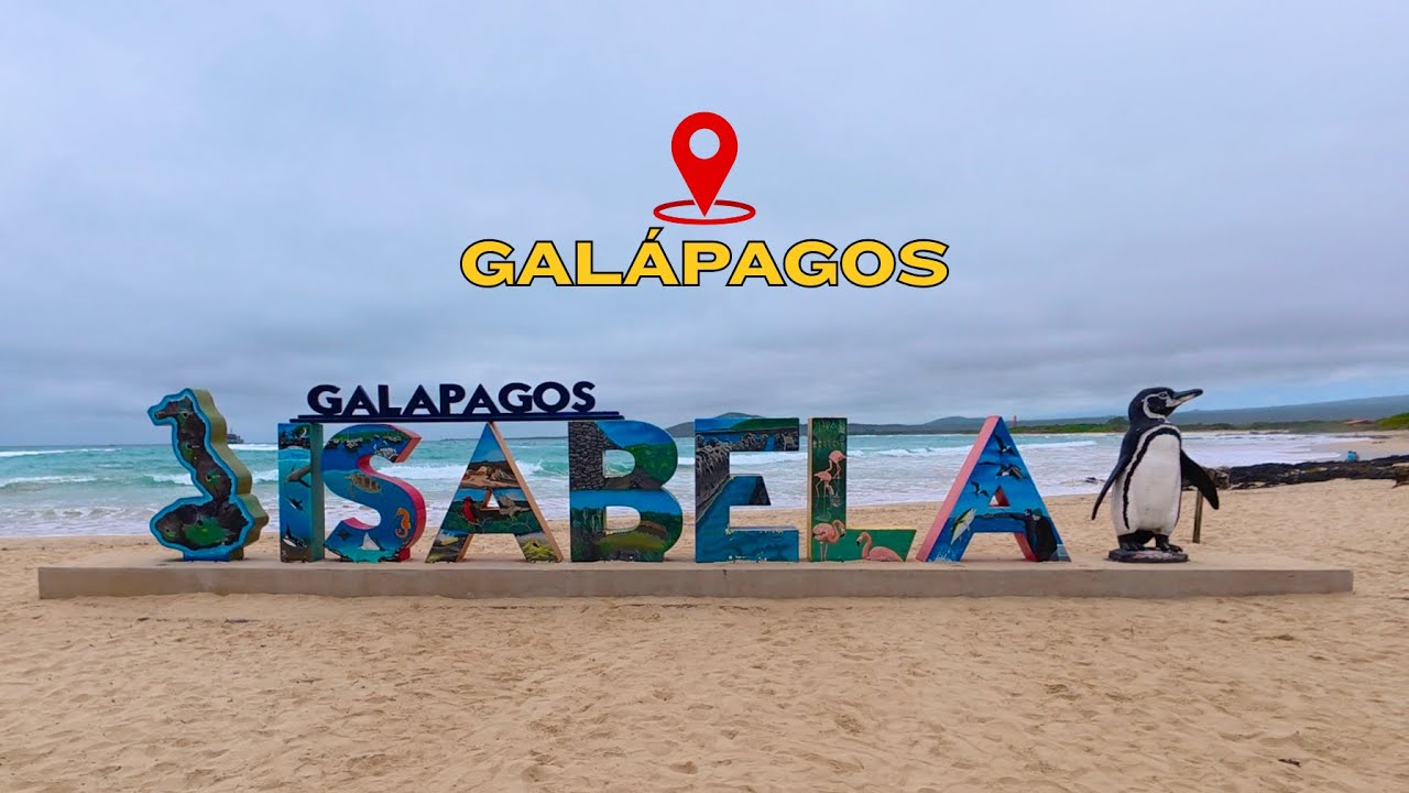 Isabela, Galápagos🐢: el lado más salvaje y tranquilo del paraíso