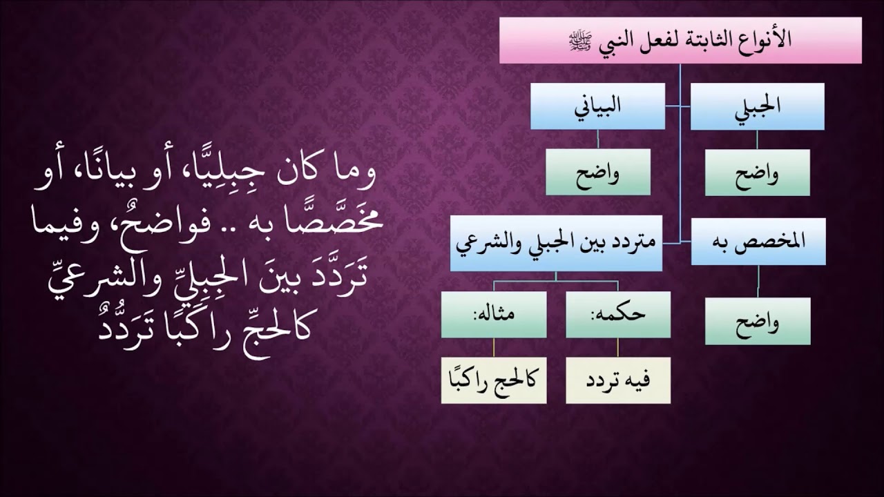 الدرس 229   أفعال النبي صلى الله عليه وسلم