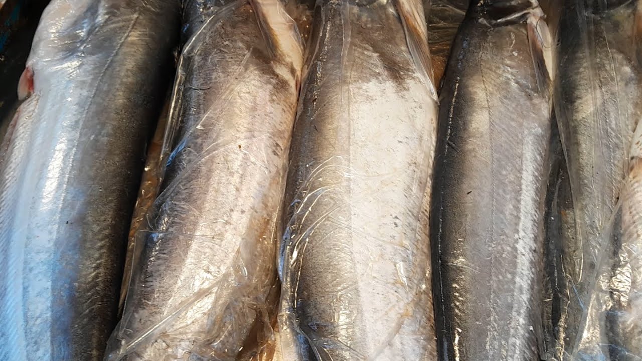 Amazing Boal Fish Cutting Skills Live in Fish Market in Bangladesh 2023 ...