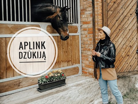 Video: Japoniškų Viskio Distiliavimo Gamyklų, Kurias Turite Aplankyti