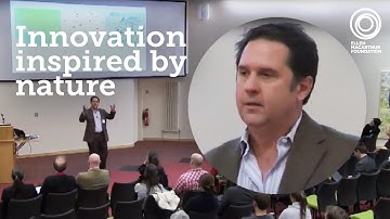 Biomimicry: Can Nature Teach Us How to Fix Our Unsustainable Economy? | Part 2