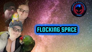 FLOCKING SPACE