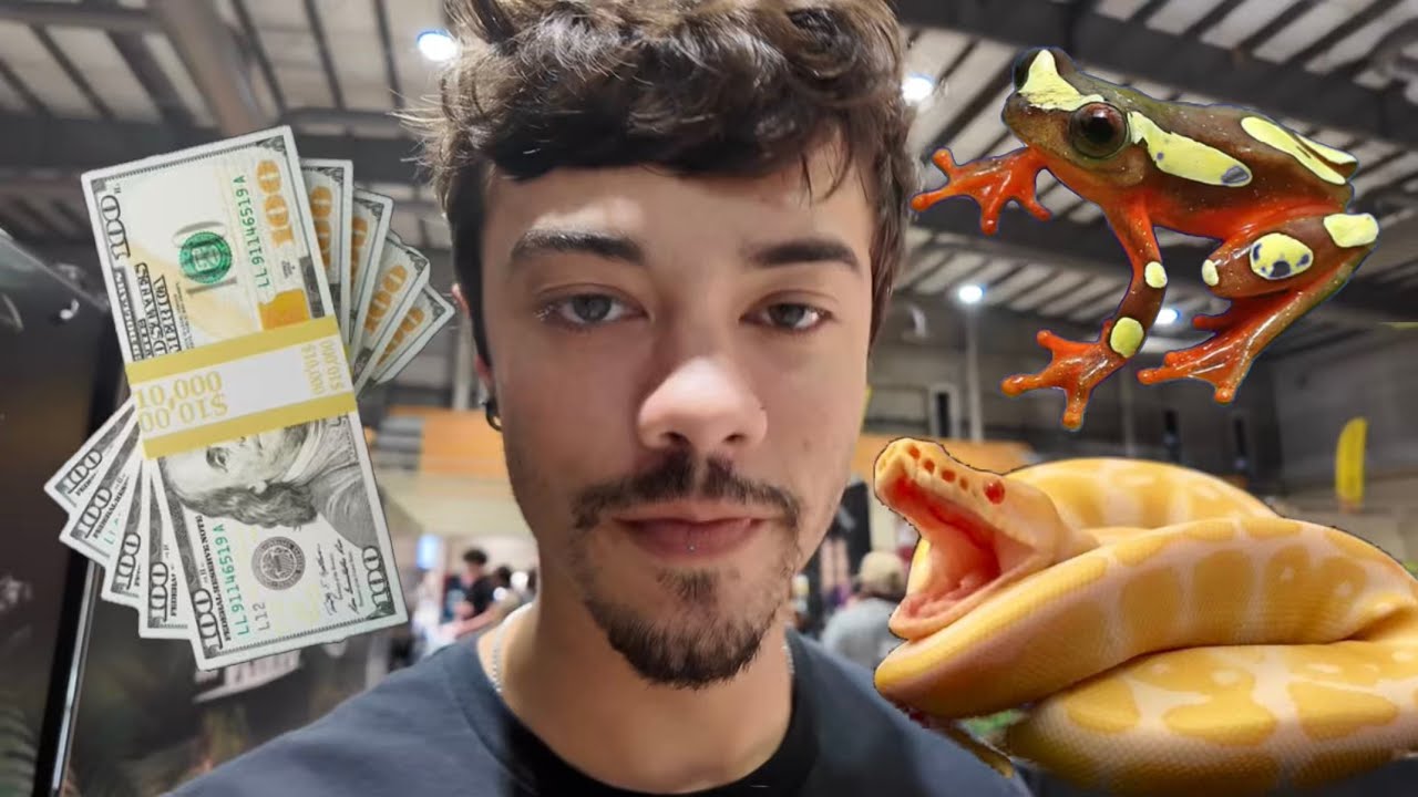 I SPENT THOUSANDS $$$ AT A REPTILE SHOW!! REPTICON TAMPA 2025