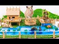 Build hamster maze  diy cardboard hamster house and turtle swimming pool