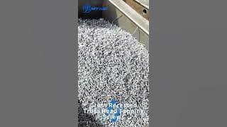 Self Tapping Screws Mass Production#screw #factory #manufacturer #custom #fasteners #myway #supplier