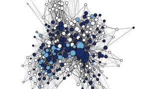 Activity Propogation In The Electrical Connectome Of The C.elegans Neural Network