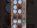 Can I Still Eat That? Eggs