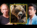 Meeting Bears And Leopards - Himalayan Explorer Shares Crazy Travel Story