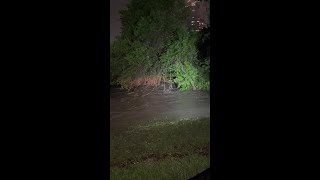Shoal Creek Flooding