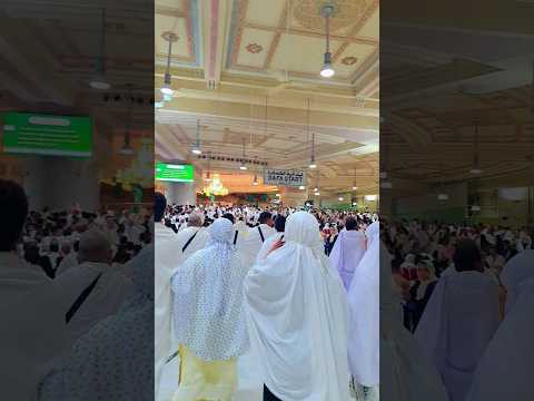 SAFA Marwa.