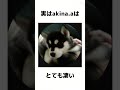 #short#実は
