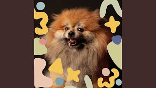 Simple Backdrops for Resting Pets