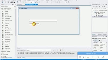 HOW TO SHOW A PASSWORD PROTECTED BY UseSystemPasswordChar vb net
