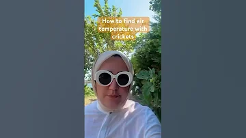 How To Find Air Temperature With Crickets Summer Cricket Zeynepcimen 