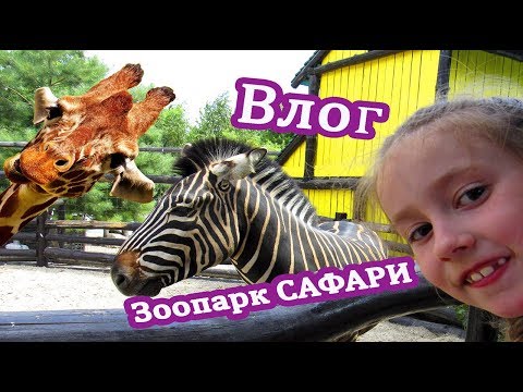 Влог Танюша идет в зоопарк смотреть на забавных животных / Зоопарк для детей